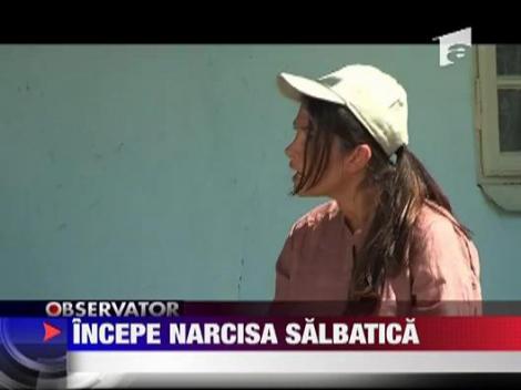 Marea premiera "Narcisa Salbatica" astazi de la 20:00