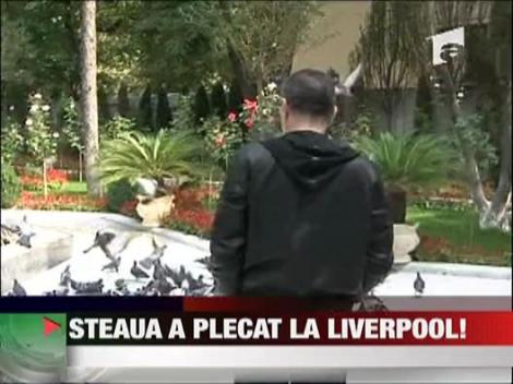 Steaua a plecat la Liverpool