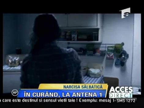 Melodia telenovelei "Narcisa salbatica" are un videoclip