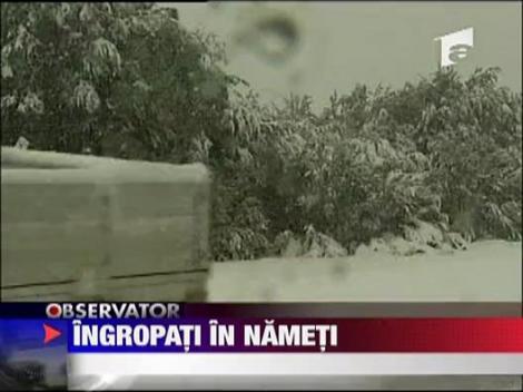 Australia ingropata in nameti