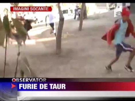 Furie de taur