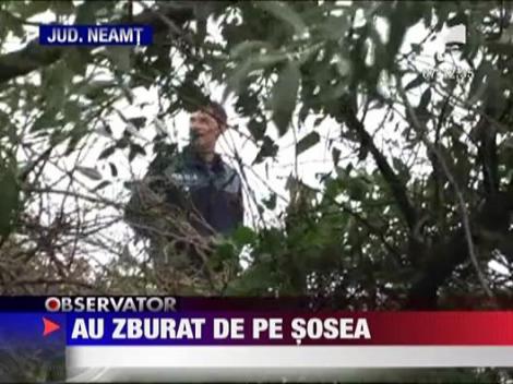 Au zburat de pe sosea