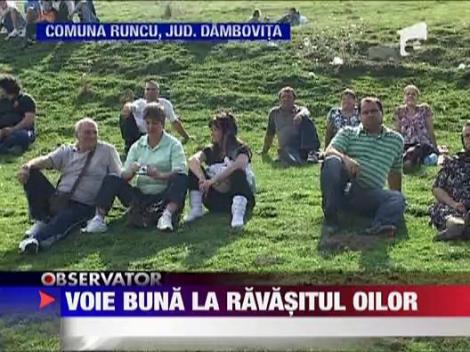Voie buna la 'Ravasitul Oilor'