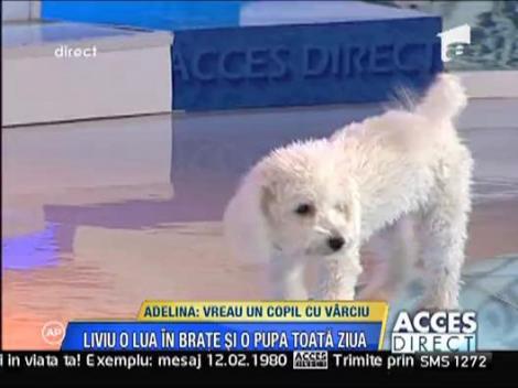 Adelina Pestritu il vrea inapoi pe Liviu Varciu