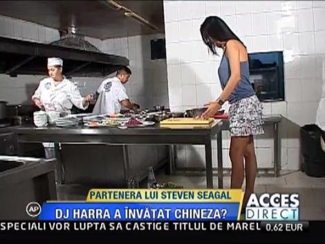 DJ Harra, partenera lui Steven Seagal, a invatat chineza?