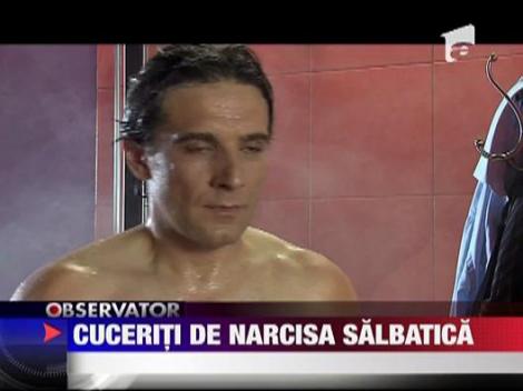 Romanii, cuceriti de Narcisa salbatica