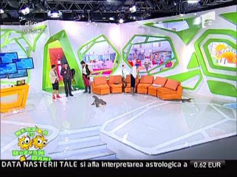 Circul acvatic – Acquatico Bellucci