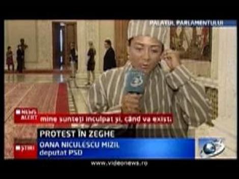 Oana Niculescu Mizil, protest in zeghe la Parlament