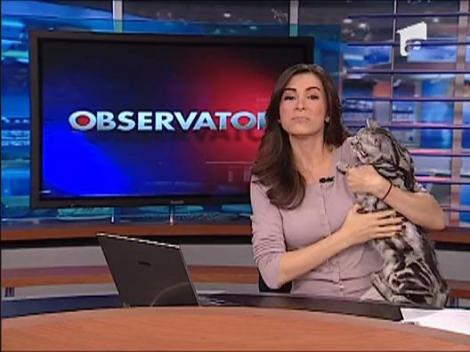 Oana Frigescu Badiu, prietena cu felinele