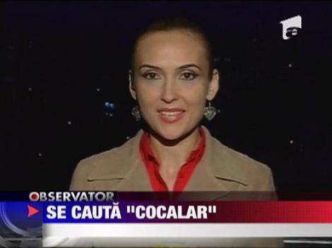 Se cauta "cocalar"