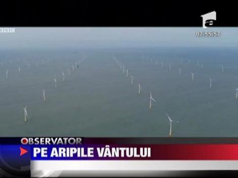 Cel mai mare parc eolian maritim din lume