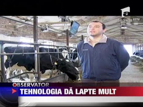 Vacile din Rusia dau mai mult lapte pentru ca se uita la televizor