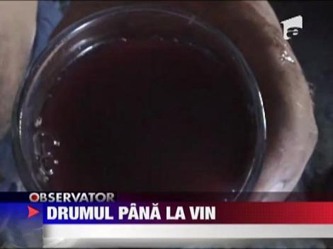 Drumul pana la vin