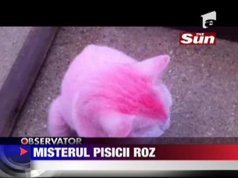 Misterul pisicii roz