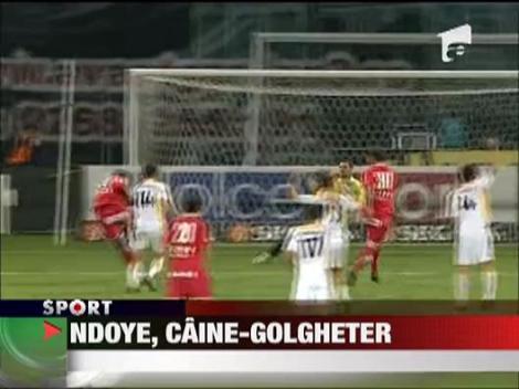 N'Doye, caine-golgheter