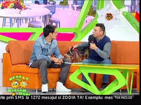 Ziua Mondiala a Animalelor de Companie