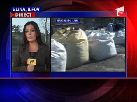 Pericolul de la Glina