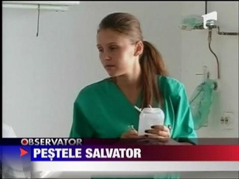 Pestele salvator