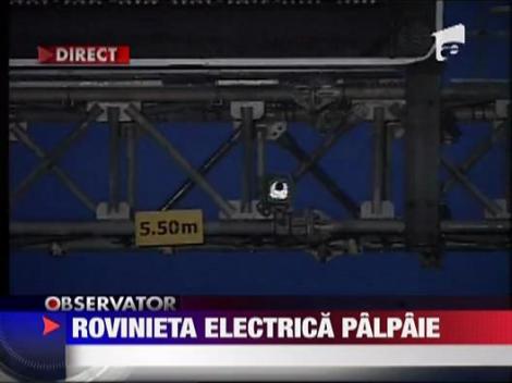 Rovinieta electrica palpaie
