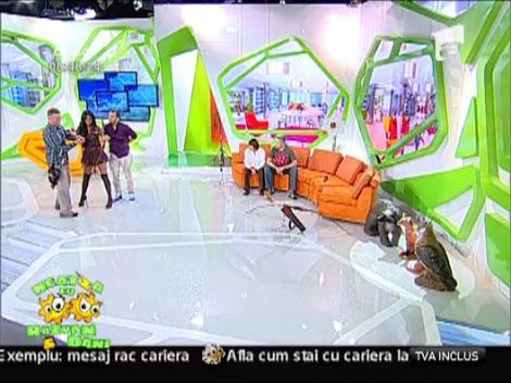 Daniela Crudu trage din nou cu arcul