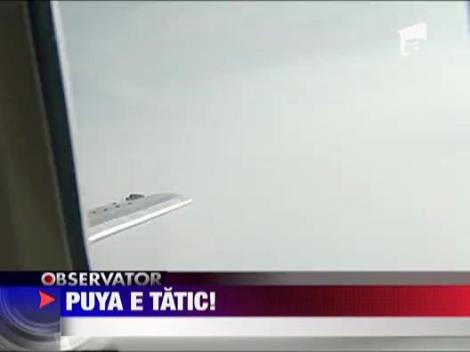 Puya e tatic!