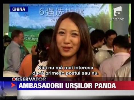 Ambasadorii ursilor panda