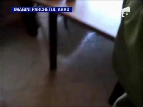 Fabrica de diplome, desfiintata