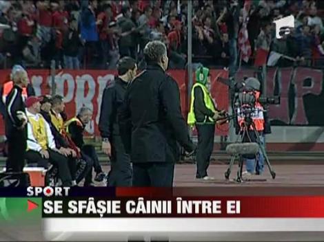 Se sfasie cainii intre ei