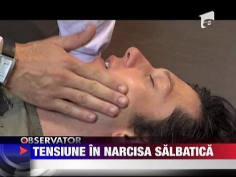 Tensiune in Narcisa Salbatica