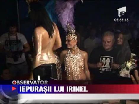 Iepurasii lui Irinel