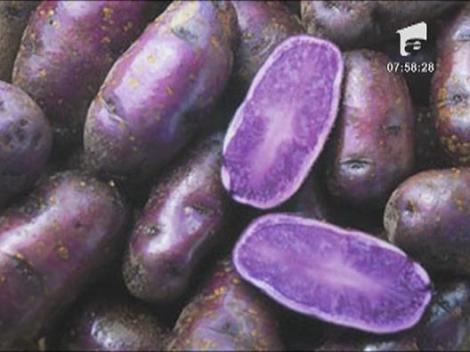 Cartofii mov