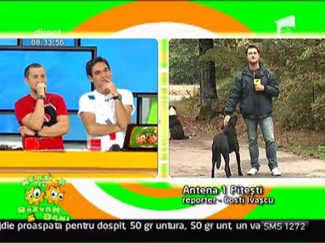 Vremea cu Daniela Crudu 07.10.2010