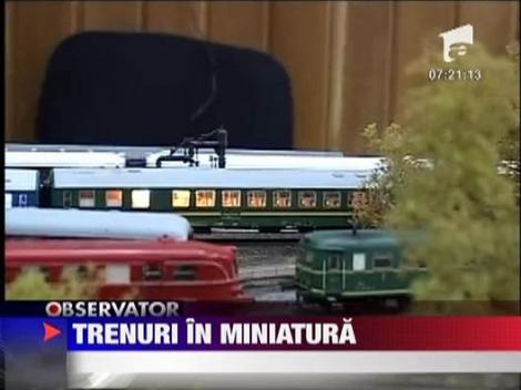 Trenuri in miniatura