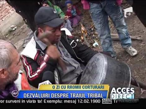 O zi cu rromii corturari - o aventura unica