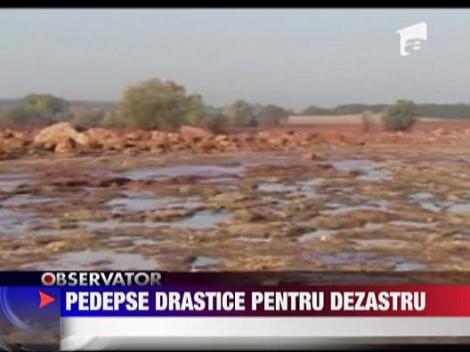 Pedepse drastice pentru poluarea Dunarii