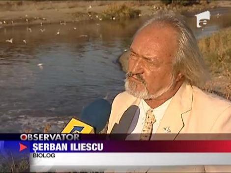 Dambovita, cea mai murdara apa din Romania