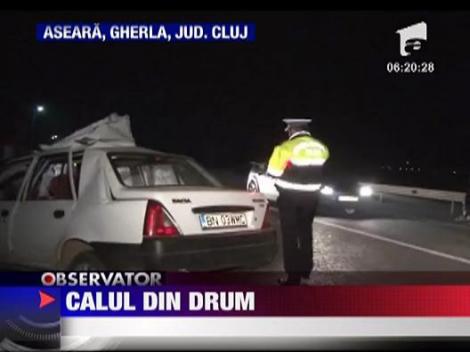 Un cal lasat liber a provocat un accident in Cluj