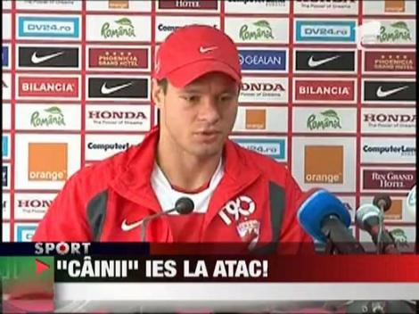 "Cainii" ies la atac!