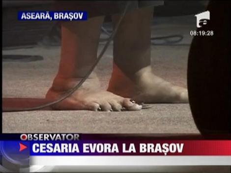 Cesaria Evora la Brasov
