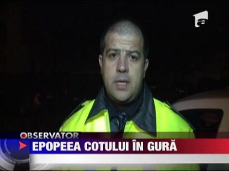 Epopeea cotului in gura