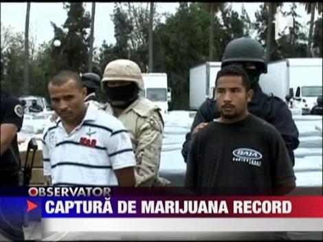 Captura de marijuana record