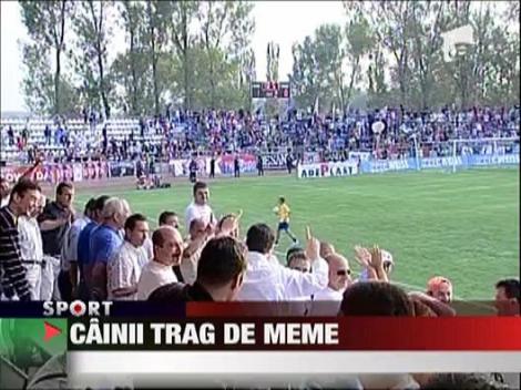 Cainii trag de Meme