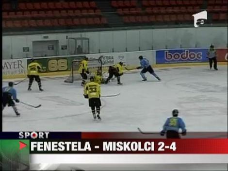 Fenestela - Miskolci 2-4