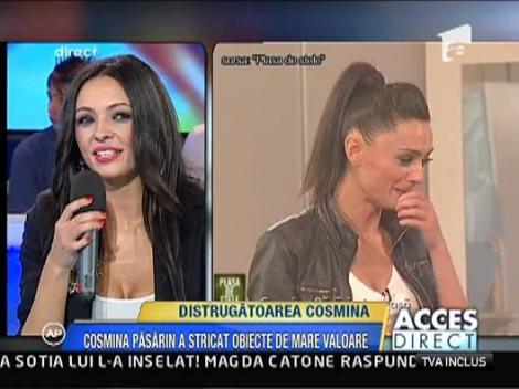 Distrugatoarea Cosmina Pasarin