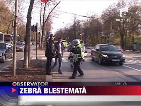 Tanar spulberat pe zebra in Bucuresti
