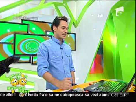 Ce tara ar trebui sa ne cotropeasca?