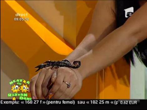 Magicianul Christianis la Neatza