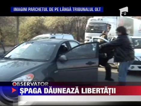 Spaga dauneaza libertatii