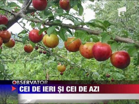 CFBL si Andreea Banica, cei de ieri si cei de azi