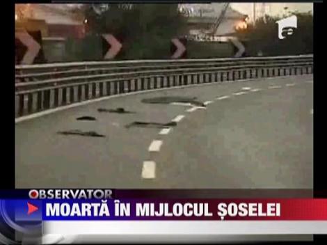 Romanca moarta pe autostrada italiana
